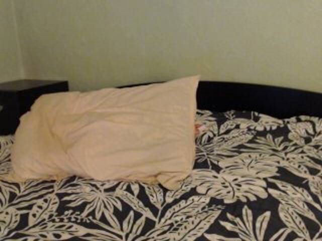 प्रसारण स्क्रीनशॉट Alissia_Kiss