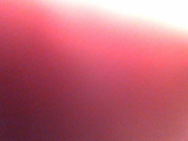 प्रसारण स्क्रीनशॉट anawild4you