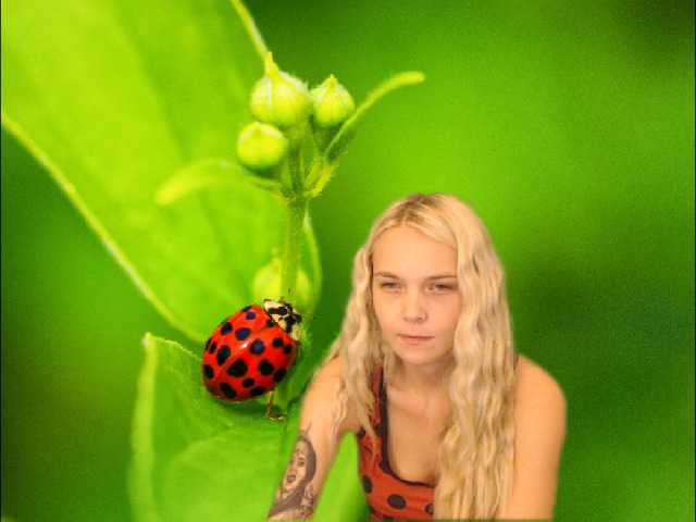तस्वीरें AnnaHappy18 ...the story of the lonely ladybug.