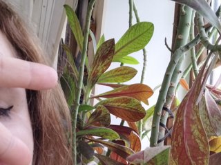 कामुक वीडियो चैट Crazycouple8