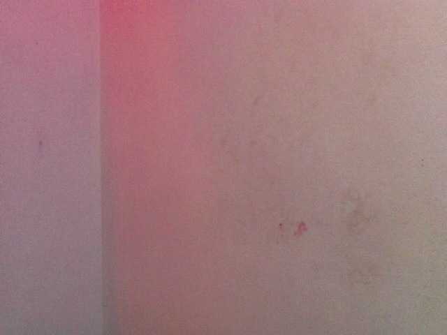 प्रसारण स्क्रीनशॉट daniela3103
