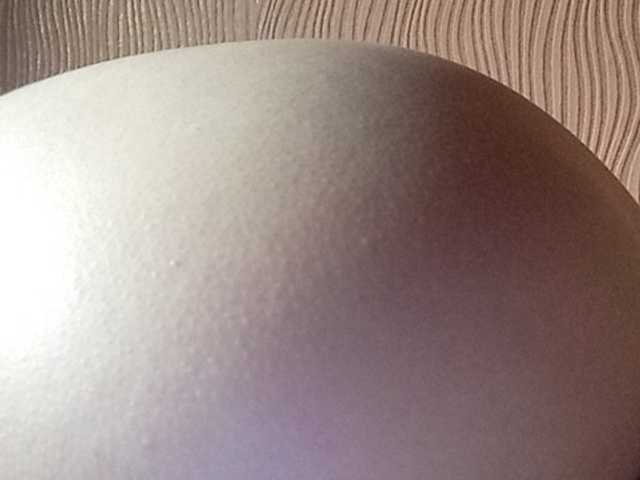 प्रसारण स्क्रीनशॉट Darinaray777