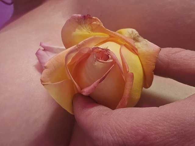 प्रोफ़ाइल की तस्वीर Delicious-Dahlia