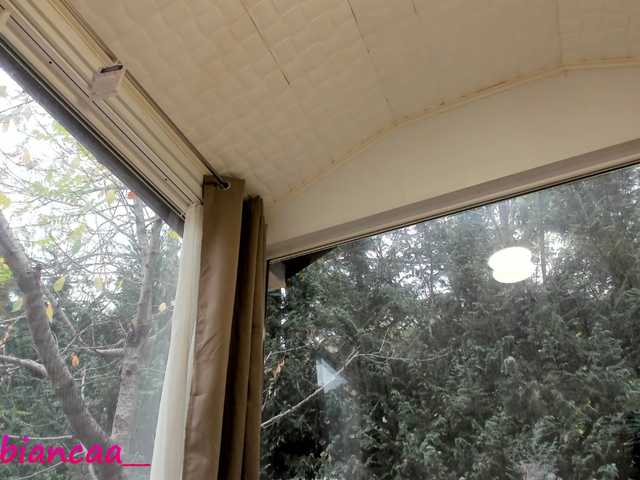 प्रसारण स्क्रीनशॉट Denise-Quinn