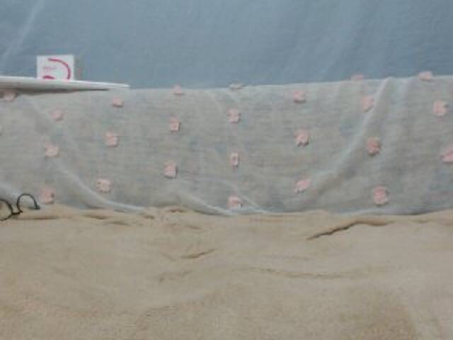 प्रसारण स्क्रीनशॉट DonnaWildJoyy