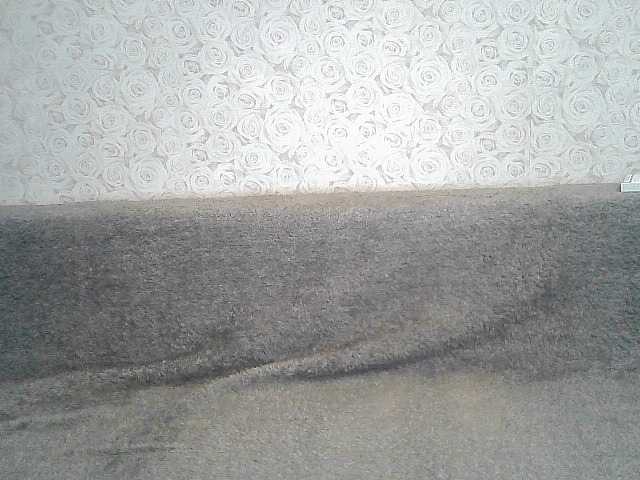 प्रसारण स्क्रीनशॉट ElegantBlonda