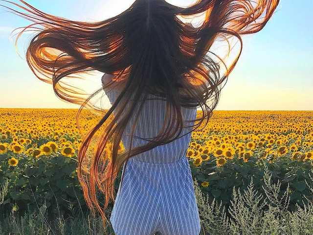 प्रोफ़ाइल की तस्वीर EloizaHilton