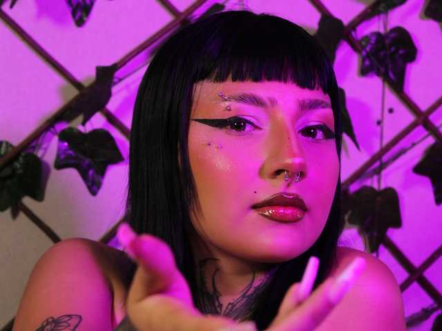 प्रोफ़ाइल की तस्वीर fer-kitty