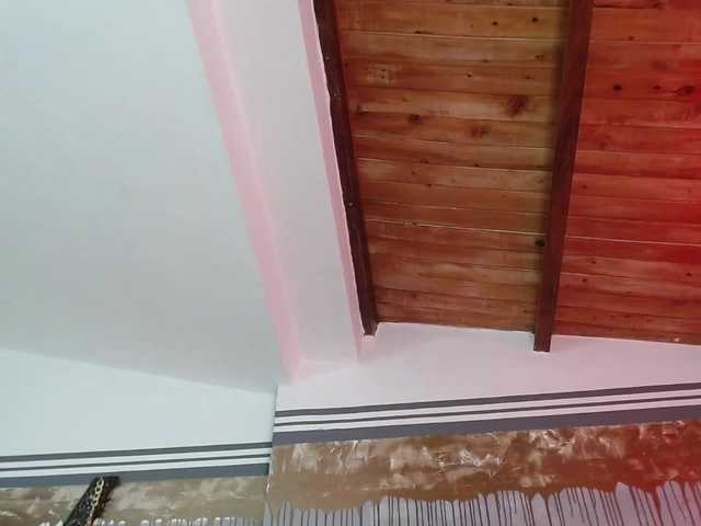 प्रसारण स्क्रीनशॉट flexylive