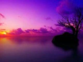 कामुक वीडियो चैट florabella