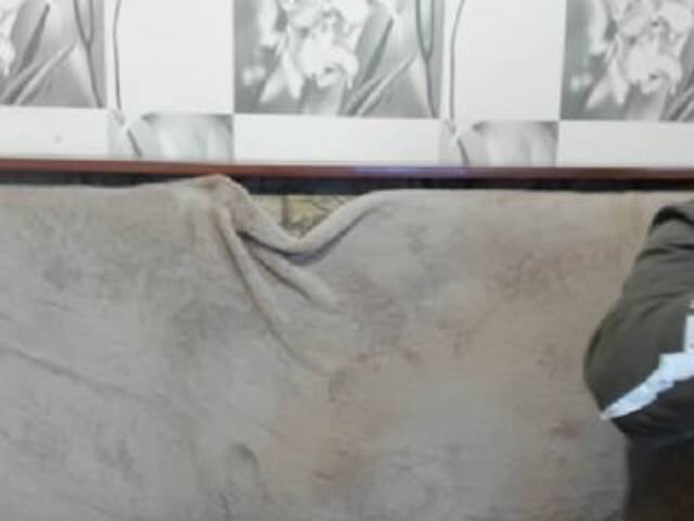 प्रसारण स्क्रीनशॉट sexyit09