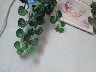 कामुक वीडियो चैट MerellinFicus