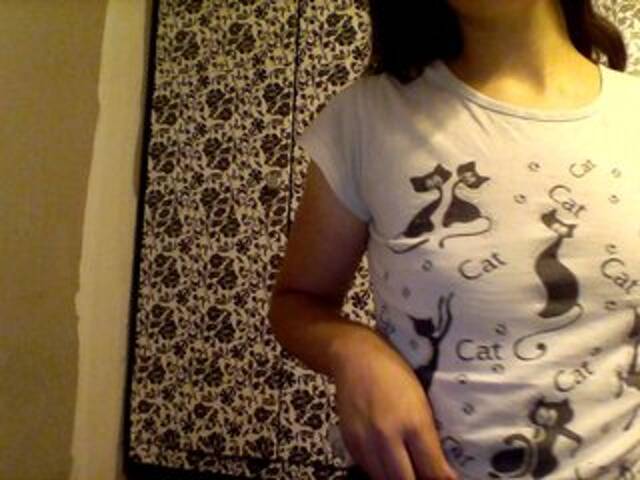 प्रसारण स्क्रीनशॉट Meru1996