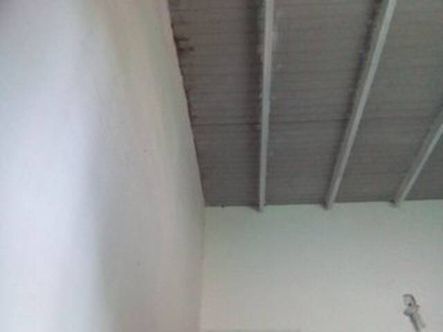 प्रसारण स्क्रीनशॉट misscute