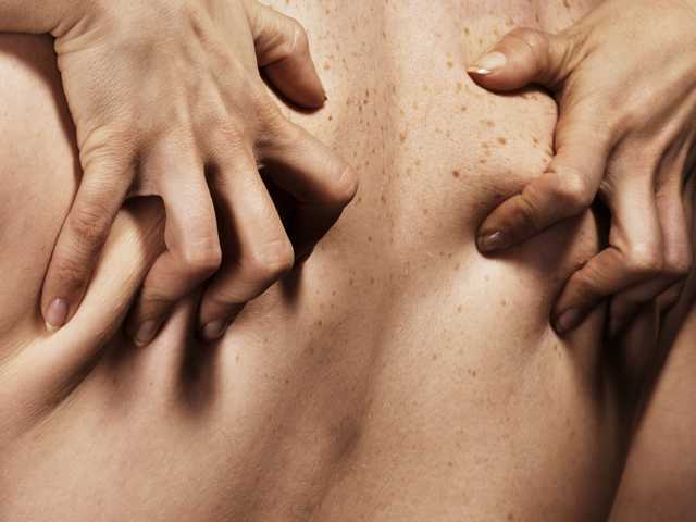 प्रोफ़ाइल की तस्वीर Pineapple-Sex