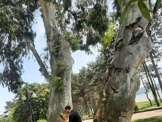 कामुक वीडियो चैट PUPI-DEL-REY