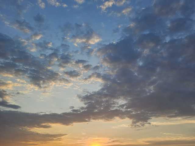 प्रोफ़ाइल की तस्वीर onehumanbeing