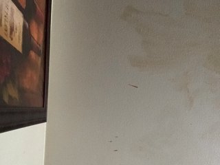 कामुक वीडियो चैट Sexylexie18