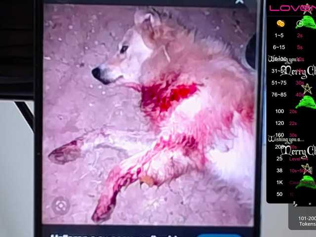 प्रसारण स्क्रीनशॉट sofiaclaus