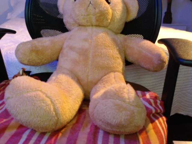 प्रसारण स्क्रीनशॉट SofiaZapata