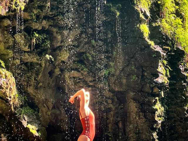 प्रोफ़ाइल की तस्वीर Sophialanguage