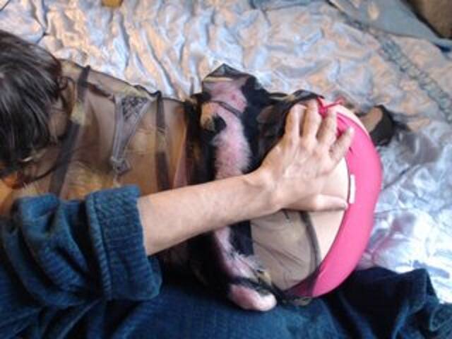 प्रसारण स्क्रीनशॉट Masha_Ivanova