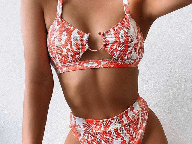 प्रोफ़ाइल की तस्वीर SweetFox