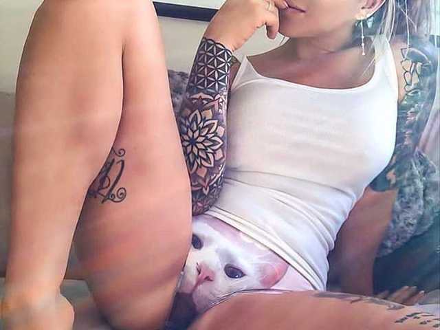 प्रोफ़ाइल की तस्वीर SweetFox