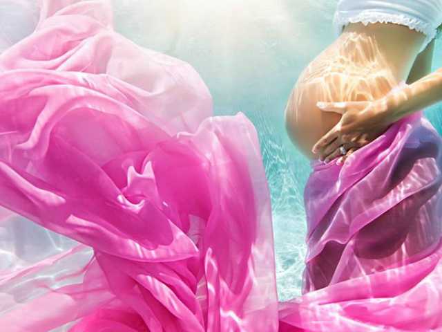 प्रोफ़ाइल की तस्वीर SweetFox