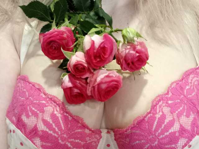 प्रोफ़ाइल की तस्वीर SweetFox