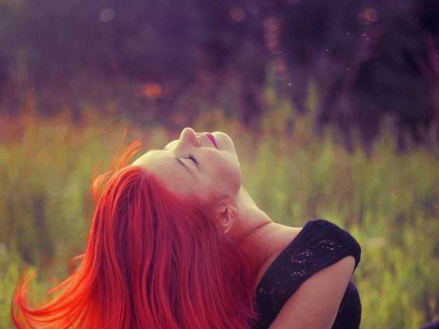 प्रोफ़ाइल की तस्वीर SweetFox