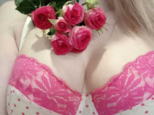 प्रोफ़ाइल की तस्वीर SweetFox