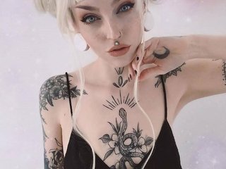 प्रोफ़ाइल की तस्वीर SweetFox