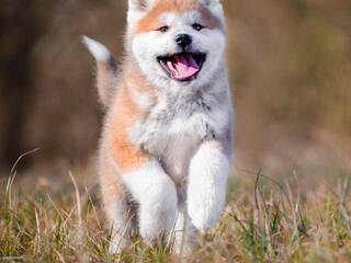 कामुक वीडियो चैट Val309a