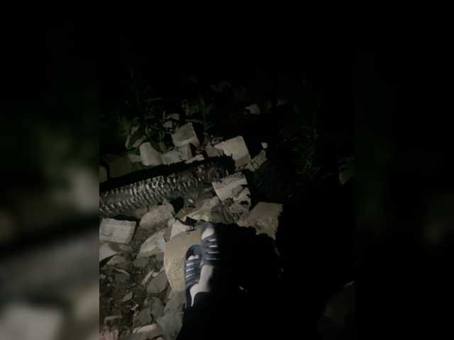 प्रसारण स्क्रीनशॉट Vanessa-25