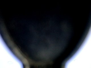 कामुक वीडियो चैट Victoriagh