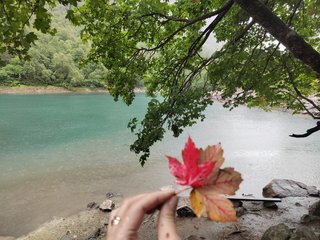 कामुक वीडियो चैट _GoodGirl_