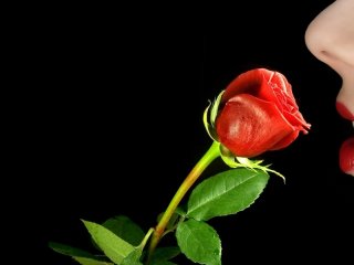 प्रोफ़ाइल की तस्वीर xxsweetlady